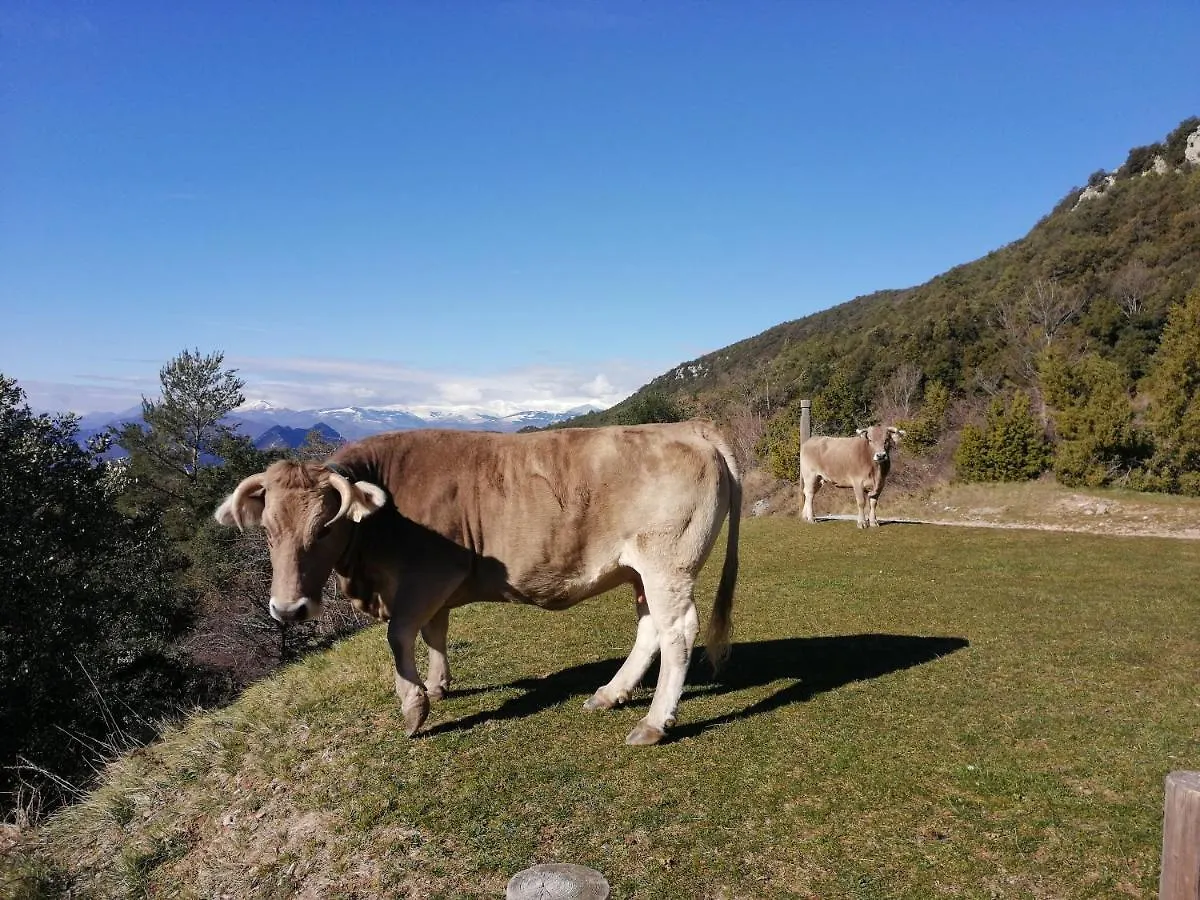 Appartamento El Serradell mountain cottage Sadernes